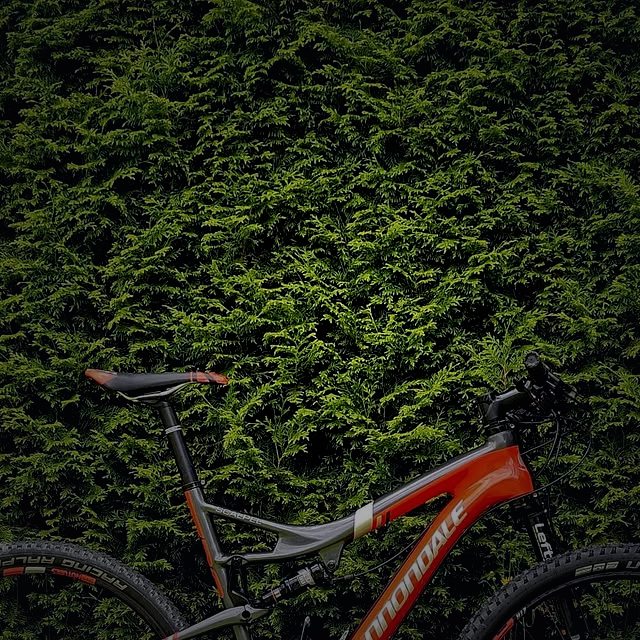 Cannondale Scalpel
